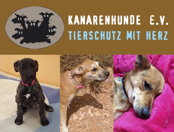 Kanarenhunde e.V. braucht dringend Ihre Hilfe!  - Sie verlieren sonst Ihr Tierheim