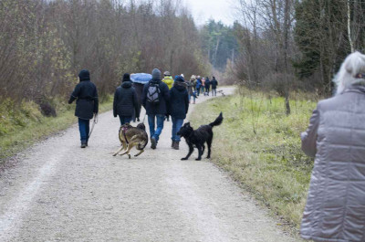Hunde-Wandertag 25.11.2017  - Hunde glücklich, Menschen nass!